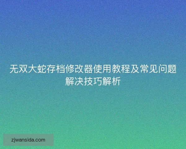 无双大蛇存档修改器使用教程及常见问题解决技巧解析